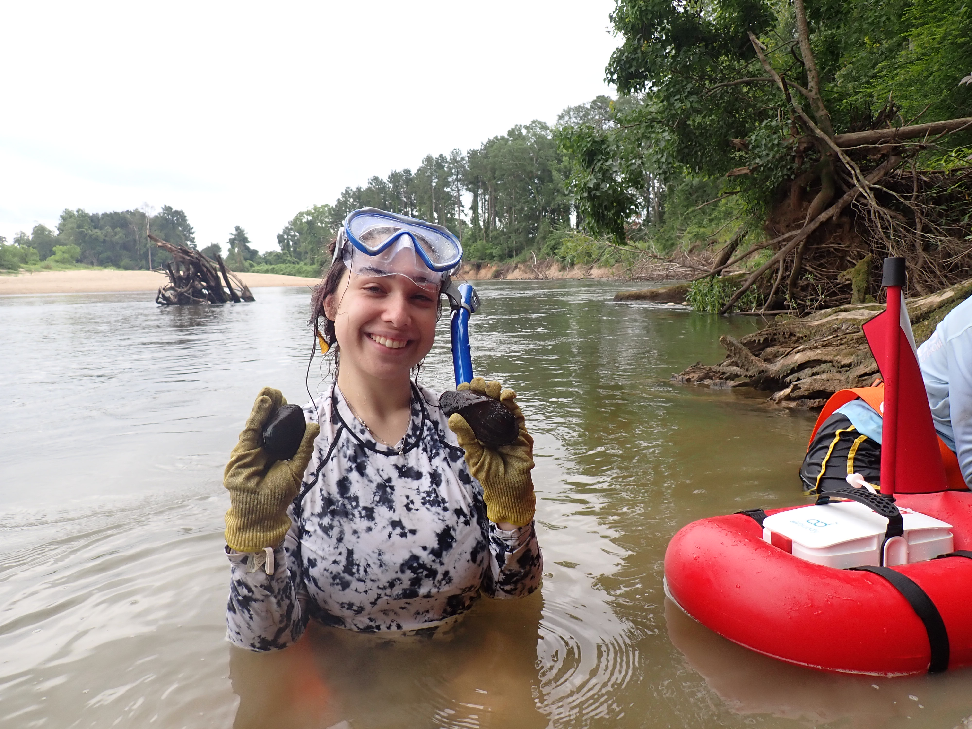 AgCenter researcher, students aim to educate Louisianans about mussels and water quality 